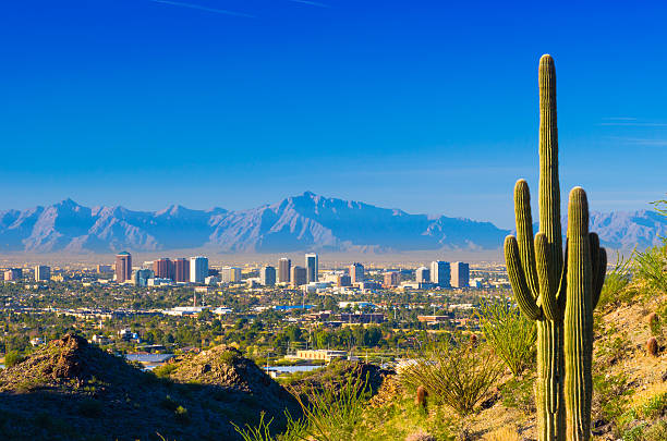 desert landscape